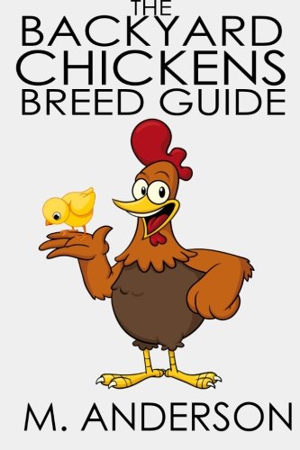 The Backyard Chickens Breed Guide The Best And Worst Backyard