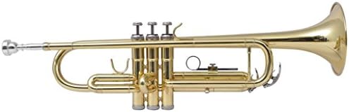 Arts & Entertainment Hobbies & Creative Arts Musical Instruments Brass Instruments Trumpets & Cornets Trumpet Yellow Brass with Gold Lacquer Bb
