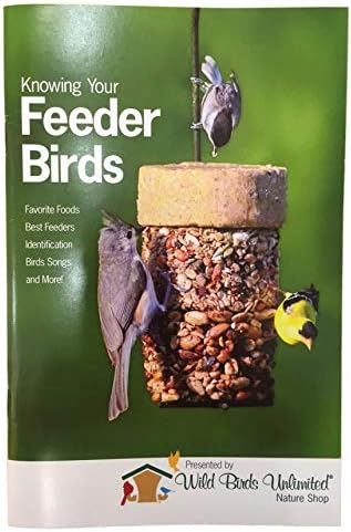 Amazon Com Petfusion Tranquility In Window Bird Feeder And Wild