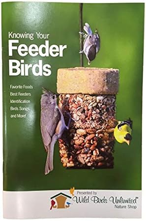 Amazon Com Petfusion Tranquility In Window Bird Feeder And Wild