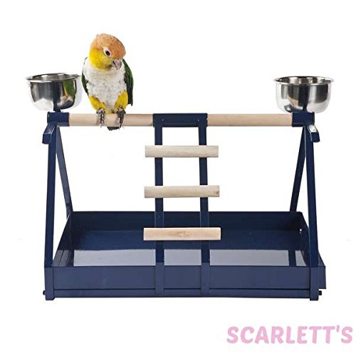 Metal Table Top Parrot Stand Small medium Bird Amazon.co.uk Toys & Games