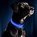 ILLUMISEEN LED Dog Collar USB Rechargeable - Bright & High Visibility Lighted Glow Collar for Pet Night Walking - Weatherproof, in 6 Colors & 6 Sizes (Blue X-Large)