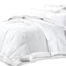 Adoric Down Alternative Comforter Queen Size White Quilted Duvet Insert Comforter with Corner Tabs, Dust Mite Resistant and Comfortable