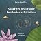 Livro A incrível história de Lambarine e Girinilson