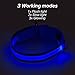 Domagiker LED Dog Collar Rechargeable - Waterproof Light Up Dog Collars, Adjustable Glow in The Dark Pet Collar, Safety Dog Lights for Night Walking (Large, Blue)