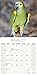Amazon Parrot Calendar - Parrot Calendar - Bird Calendars - Calendars 2018 - 2019 Wall Calendars - Monthly Wall Calendar by Avonside