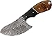 Szco Supplies Damascus Cat Skinner Knife, One Size, Brown (DM-1062)