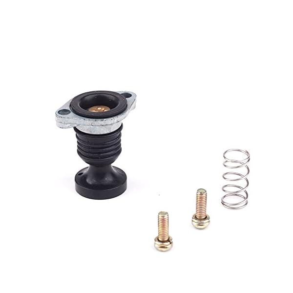 Carburetor-Primer-Pump-Spring-Screws-Kit-for-Honda-Fourtrax-TRX-300-1988-2000