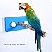 Jimfoty Bird Parrot Perch, Plastic Wall-Mounted Bird Parrot Parakeet Stand Perch Rack Bird Cage Accessories with Suction Cup(Fagara Wood)thumb 2