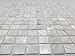 Vogue Tile Oyster Mother of Pearl Square Shell Mosaic for Kitchen Backsplashes, Bathroom Walls, Spa Tile, Pool Tile