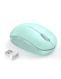 seenda - Ratón inalámbrico de 2,4 G con receptor USB para PC, tableta, portátil y Windows Mac Linux