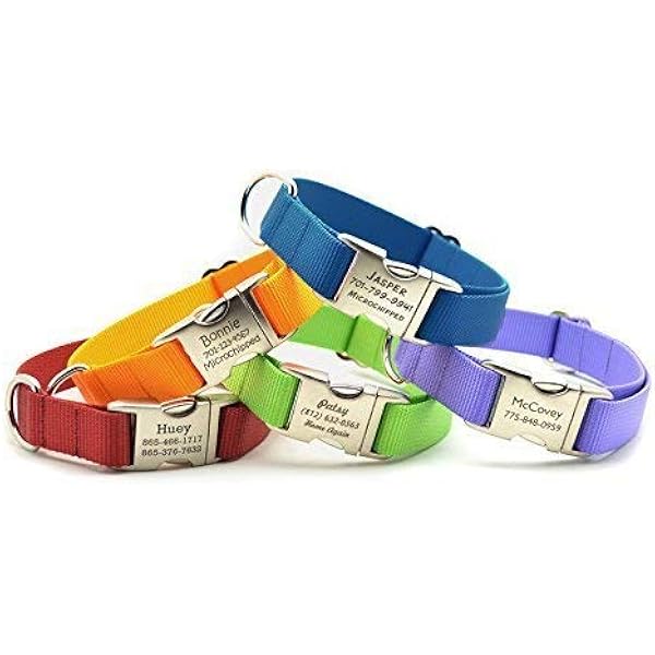 Amazon Com Heavy Duty Nylon Webbing Dog Collar With Laser Engraved Personalized Buckle Handmade