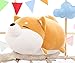 MathewArt Cute Shiba Inu Dog Throw Pillow Animal Pillows Plush Toy (Dog1, 12 Inch)