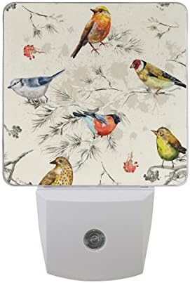 JOYPRINT Led Night Light Abstract Art Bird Tree Flower, Auto Senor Dusk to Dawn Night Light Plug in for Kids Baby Girls Boys Adults Room