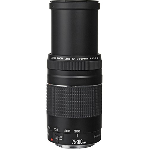 Canon EF 75300mm f/45.6 III Lens + UV Filter + Tulip Lens Hood + Lens