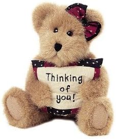 Boyds Bears Cher N Hugs #903024 Thinking of You Bear