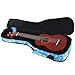 Hola! Music Heavy Duty SOPRANO (up to 21.5 Inch) Ukulele Gig Bag with 15mm Padding, Light Blue Flowers