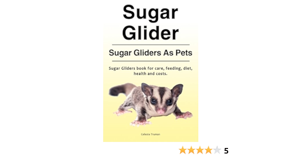 available sugar gliders