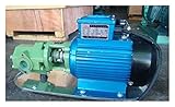 wrtgerht Mini Power Small Pump WCB-30 Small