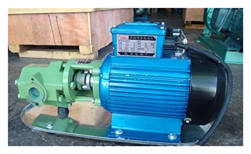 wrtgerht Mini Power Small Pump WCB-30 Small