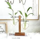 XXXFLOWER Plant Pots Wooden Stand Glass Vase Terrarium Propagation Station view 3
