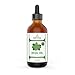 Basil Oil - 100% Pure and Natural - 4 Oz. with Glass Dropper - Therapeutic Grade - Excellent for Removing Bacteria, Purifying Air, Aromatherapy, Massage, and Ear Infections by Essential Oil Labs
