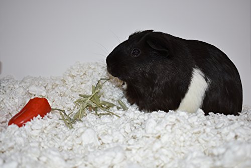 Critter Care Snowflake Bedding