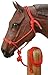 Tough 1 Poly Rope Tied Halter with Lead