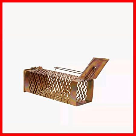 Generic Pinjra for Small Rats