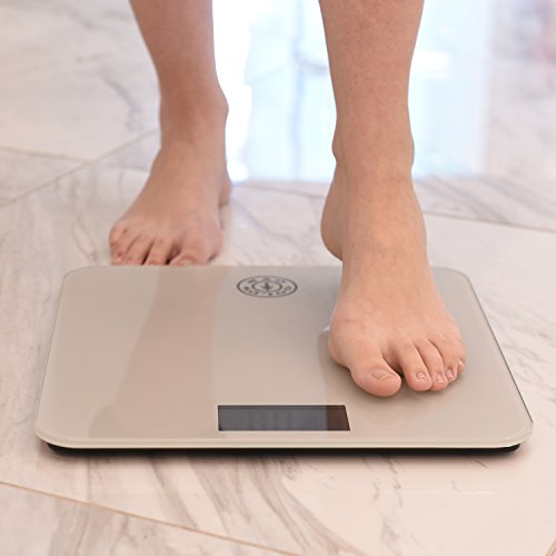 Gold’s Gym Digital Tempered Glass Bathroom Body Weight Scale Highly Accurate LBS or KG, up to 400 Pounds Non Slip, Portable, Silver - Thumbnail 2