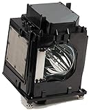 Amazing Lamps 915P049010 Replacement Lamp in Housing for Mitsubishi Televisions - Amazing Quality
