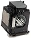 Amazing Lamps 915P049010 Replacement Lamp in Housing for Mitsubishi Televisions - Amazing Quality primary