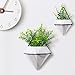 T4U Diamond Wall Planter Geometric Wall Vases Marble White, Pack of 2 Ceramic Mounted Succulent Air Aloe Pots Cactus Faux Plants Containers White Fashionable Indoor Decor for Home and Officethumb 3