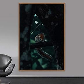 signwin Framed Canvas Wall Art Squirrel Animals Fun...