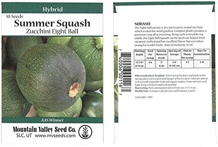 CASHFLOW-HYBRID-ZUCCHINI-SUMMER-SQUASH-GARDEN-SEEDS-10-SEED-PACKET-VEGETABLE