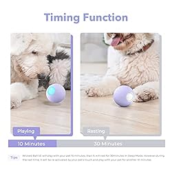 [3 Interactive Modes] Cheerble Intelligent