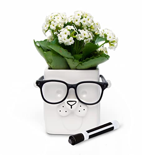 Photo 1 of 30 Watt | Puppy Planter | Novelty Planter Pot Holds Plants, Glasses & You Can Draw On It. Elegant Ceramic Vase for Succulents, Cacti or Your Average Fern, Perfect Gifting Idea