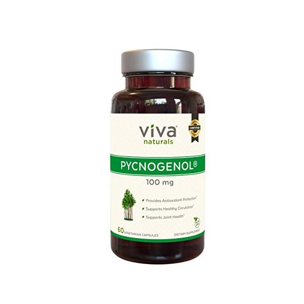 Viva Naturals Pycnogenol 100mg from French Maritime Pine Bark Extract