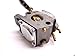 Ryobi / Homelite 308054077 Carburetor Assembly Fits RY28100, RY28101, RY28120, RY28121, RY28140, RY28141, RY28160, RY28161, UT33600, UT33650