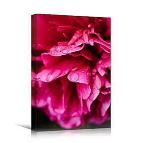 signwin Canvas Wall Art Pink Petal Closeup Bedroom...