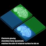 niceEshop(TM) Portable Cute Chameleon LED Night Light ,Automatic Optional Multiple Colour Changing Tap Control for Baby Adults Bedroom,USB Rechargeable or Battery Powered