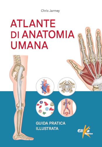 Atlante di anatomia umana. Guida pratica illustrata. Ediz. a colori