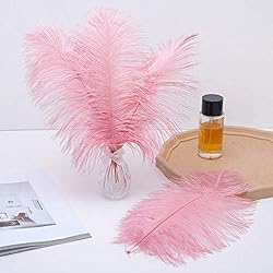 24pcs Natural Lotus Pink Ostrich Feathers 10-12inch