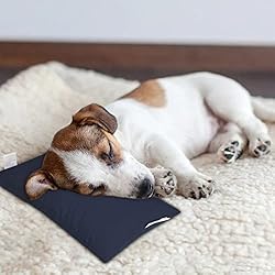 Pro Goleem Small Pillow
