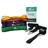 5 Packs Pull Up Assist Bands, Odoland Pull Up Straps, Resistance Bands with Door Anchor and Handles, Stretch Mobility, Powerlifting and Extra Durable Exercise Bands with eGuide