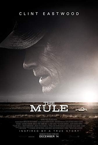 mule on amazon
