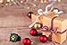 Ladybug Miraculous Costume Ring Girls - Cat Nior Ring US Size 6 Gifts for Kids Black
