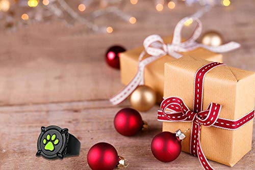 Cat Noir Ring Ladybug Necklace Earrings -Cat Noir Cosplay Ring Jewelry Costume Halloween Christmas Accessories Gifts