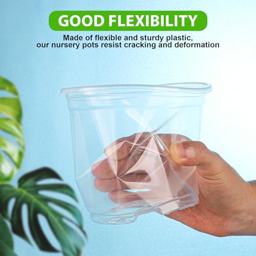 auriikoop 36 Pieces Plastic Pots, 13/15/18 cm Transparent Orchid Pots with Drainage Holes for Indoor and Outdoor Plant Cuttings
