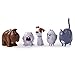 Secret Life of Pets Mini Pets Action Figure (5 Pack)